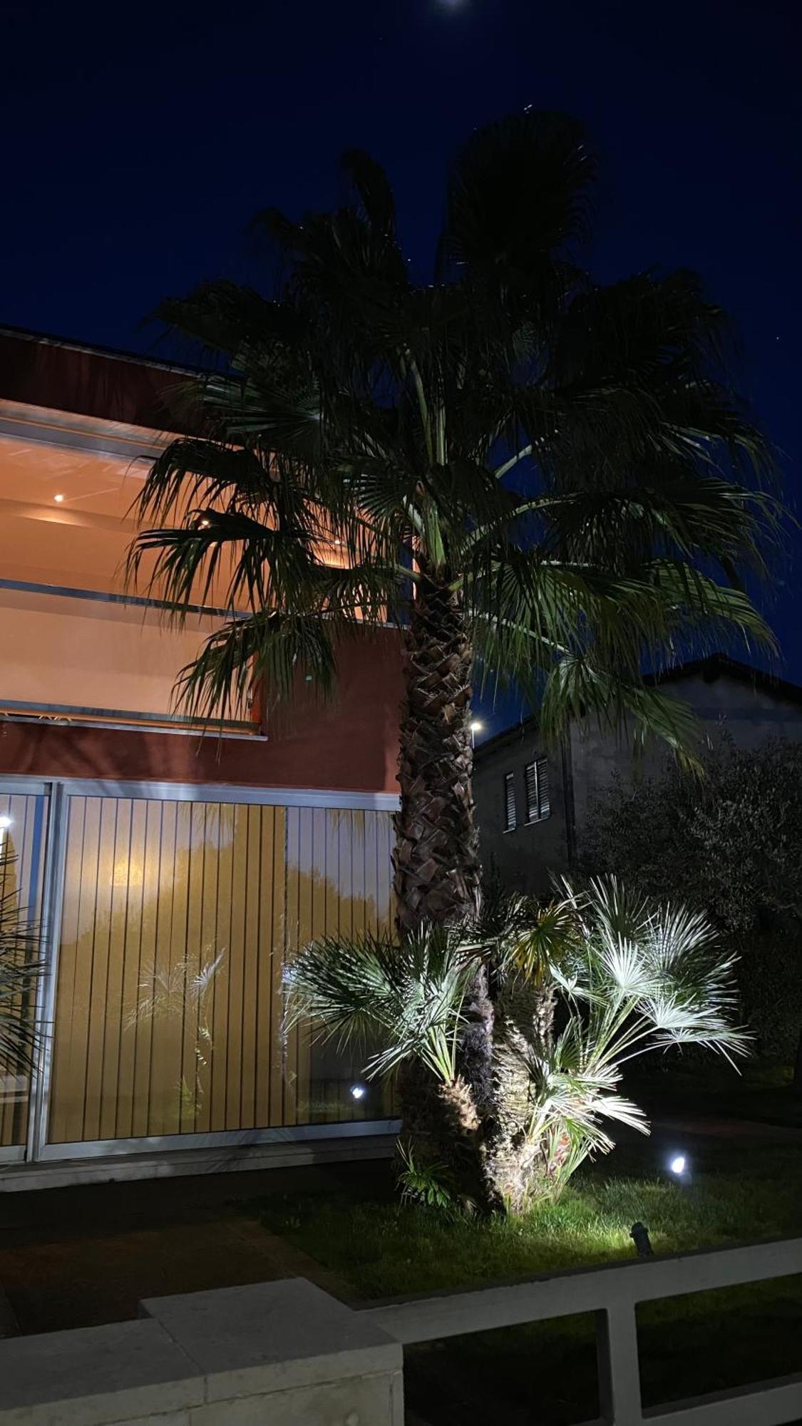 Ivni Apartmani Novigrad Istria Esterno foto