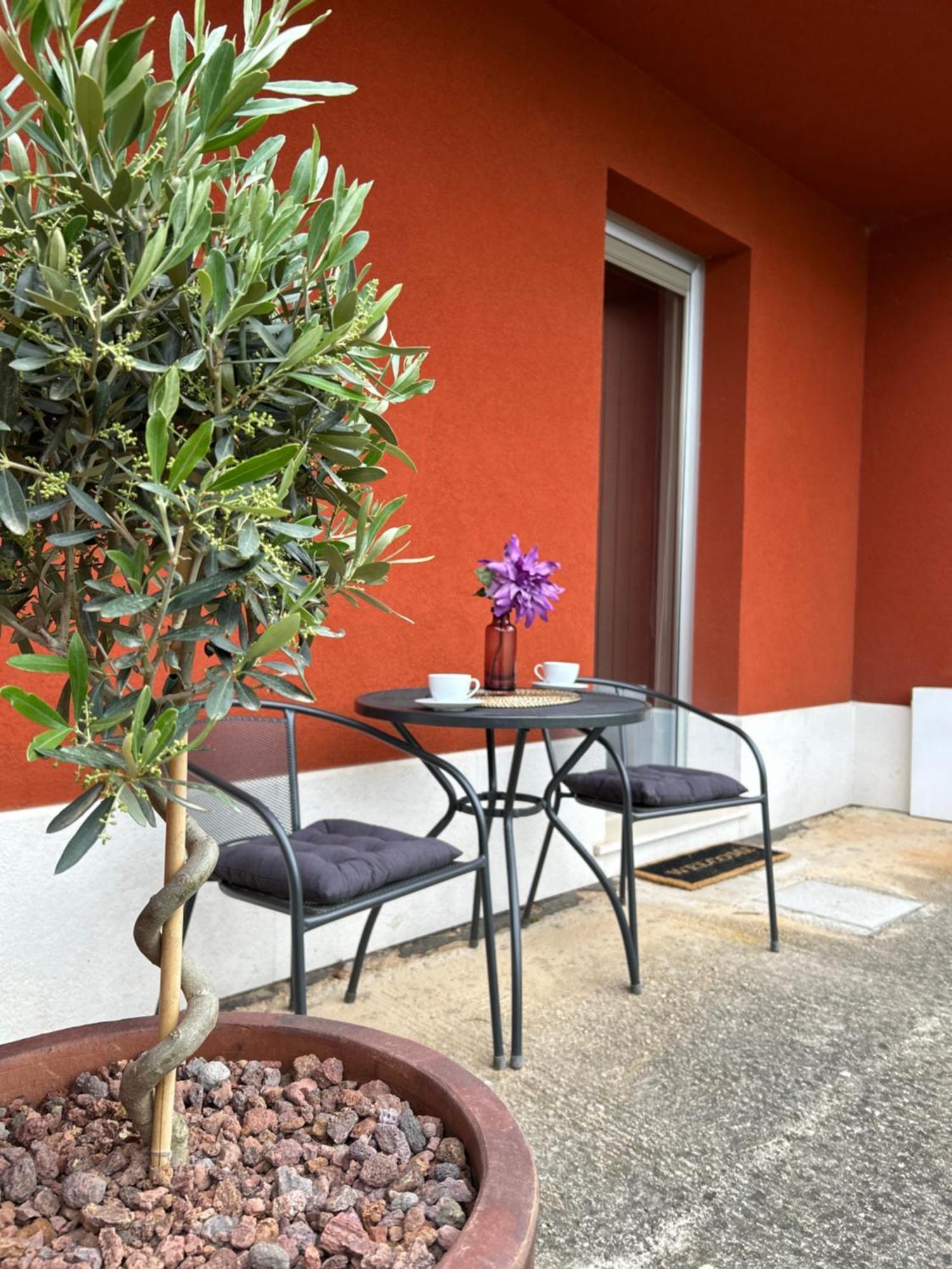 Ivni Apartmani Novigrad Istria Esterno foto