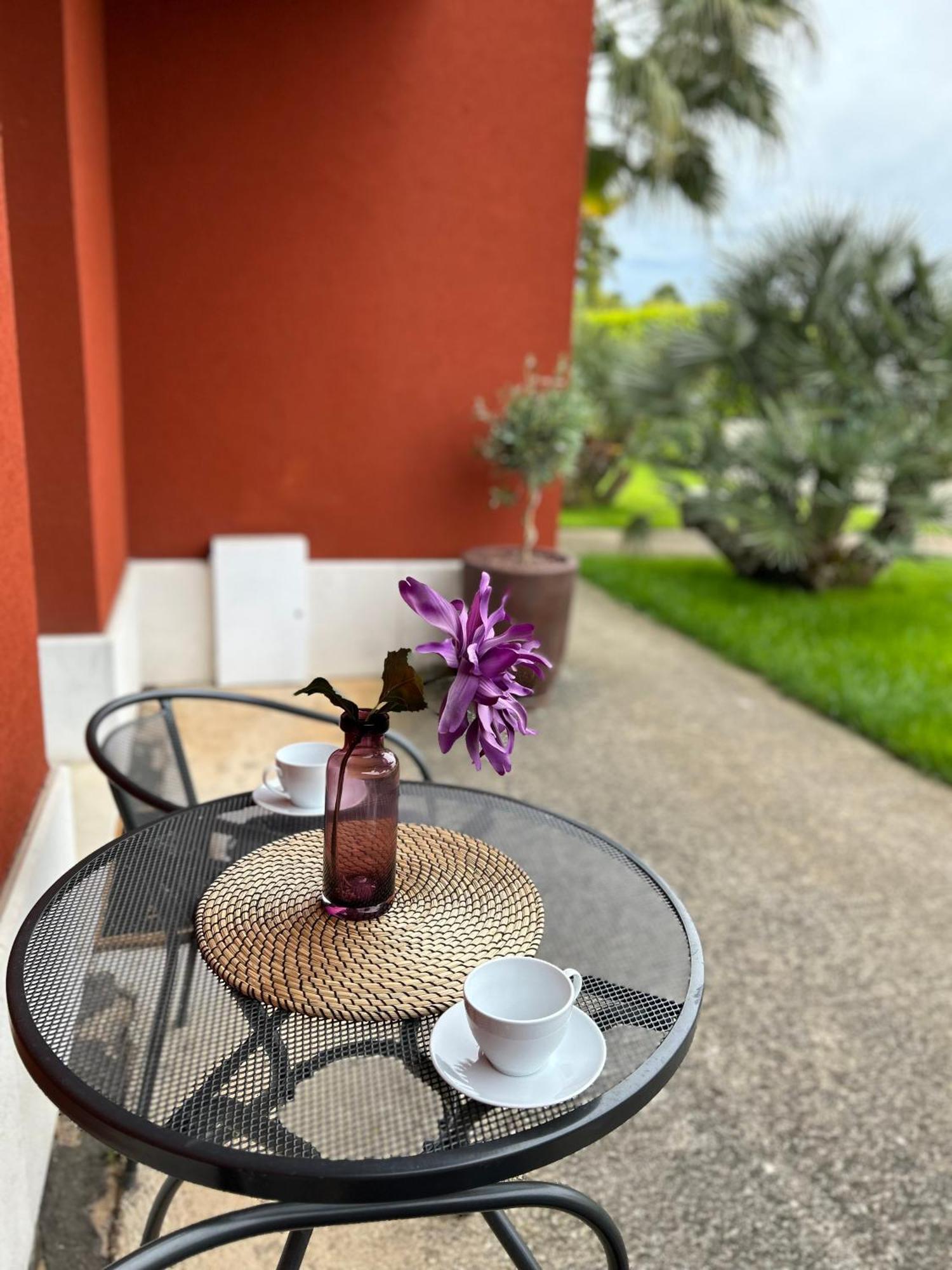 Ivni Apartmani Novigrad Istria Esterno foto