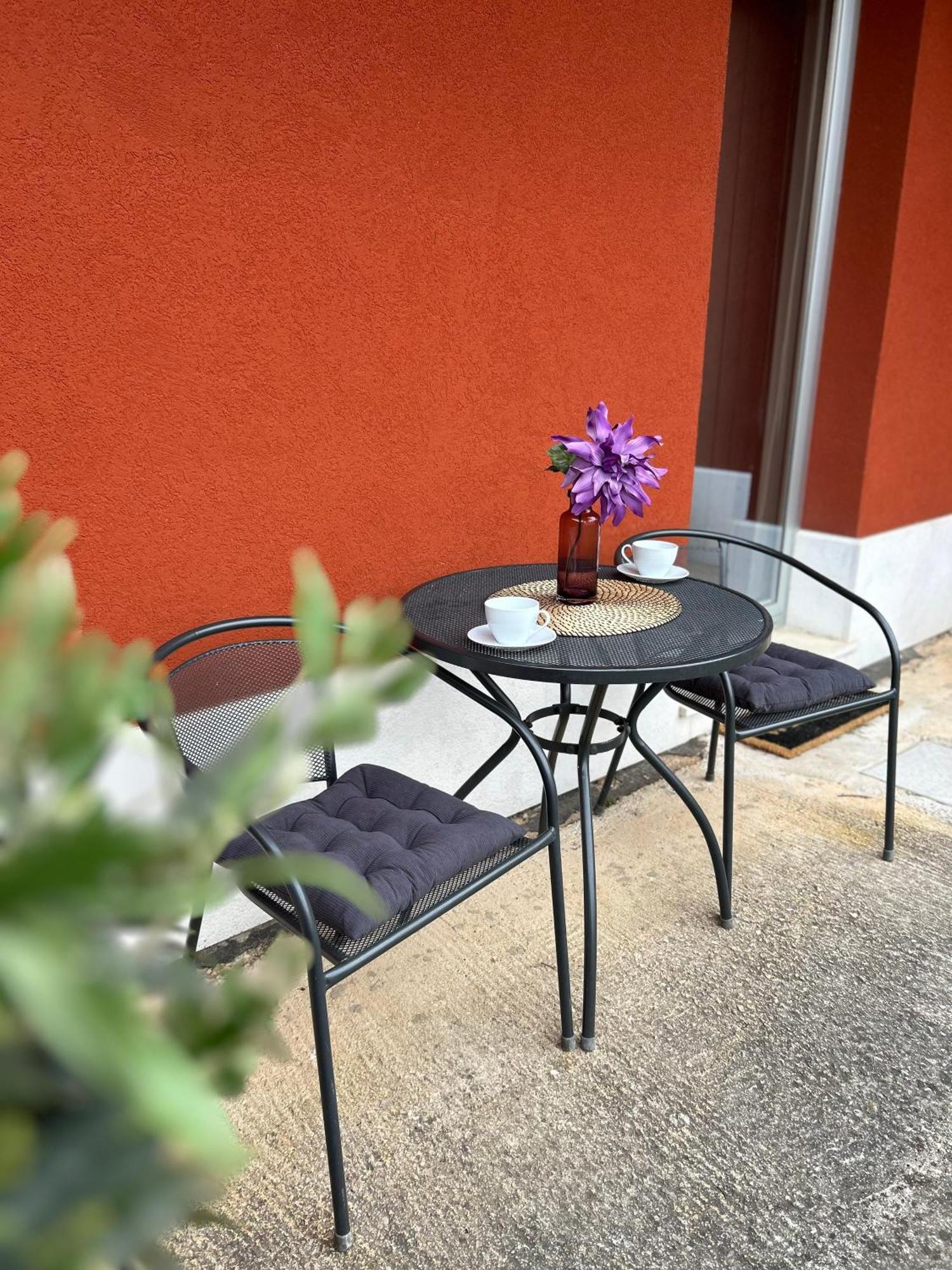 Ivni Apartmani Novigrad Istria Esterno foto