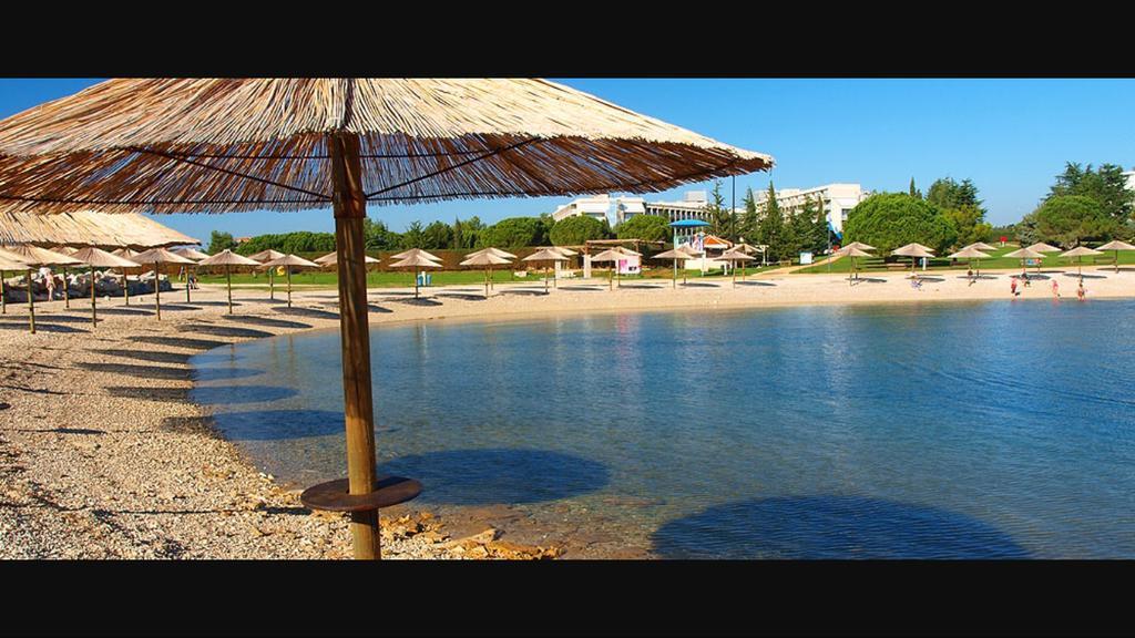Ivni Apartmani Novigrad Istria Esterno foto