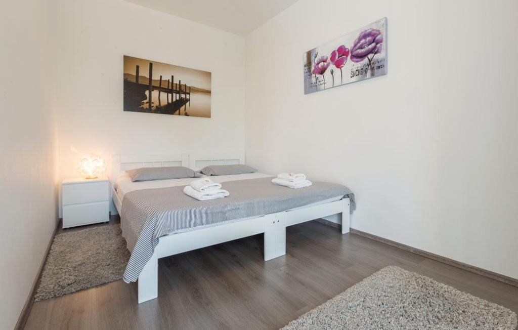 Ivni Apartmani Novigrad Istria Esterno foto